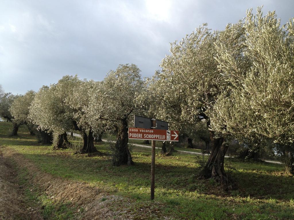 Podere Schioppello Casale Con Appartamenti Privati Cibottola 객실 사진