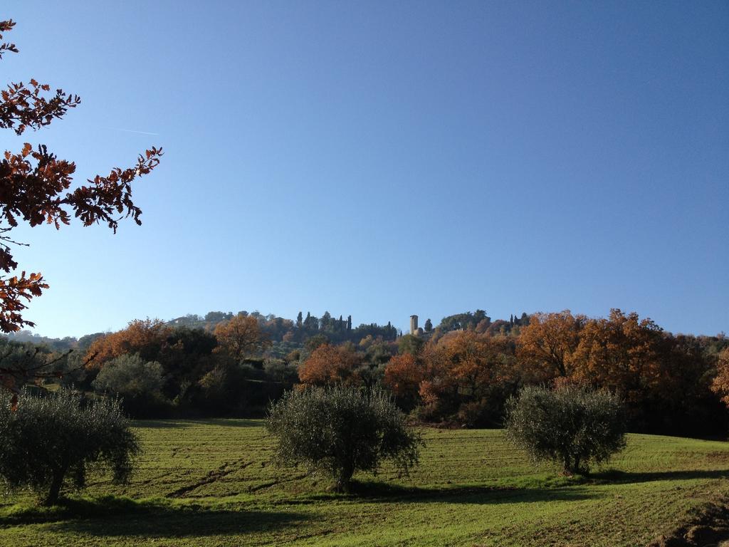 Podere Schioppello Casale Con Appartamenti Privati Cibottola 외부 사진