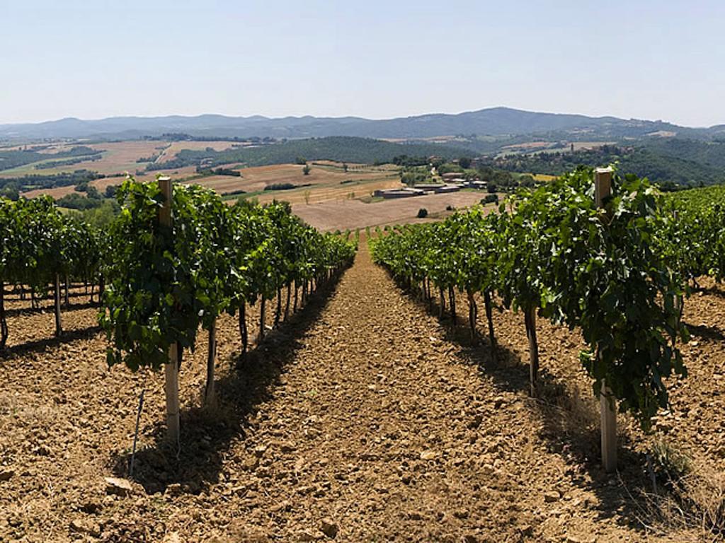 Podere Schioppello Casale Con Appartamenti Privati Cibottola 외부 사진
