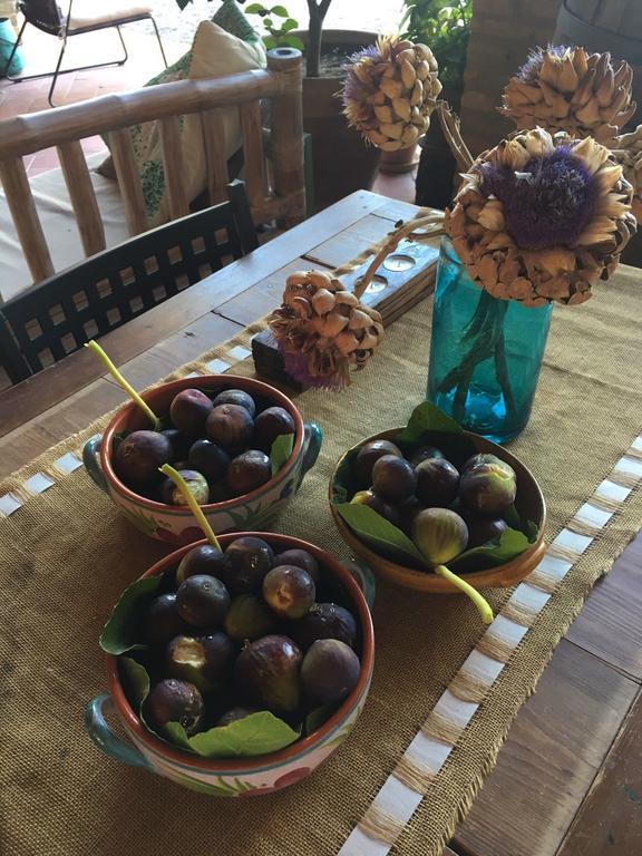Podere Schioppello Casale Con Appartamenti Privati Cibottola 외부 사진
